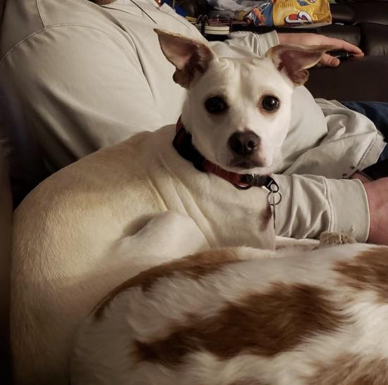 Belle *ADOPTED*