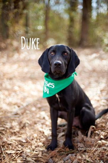 Duke