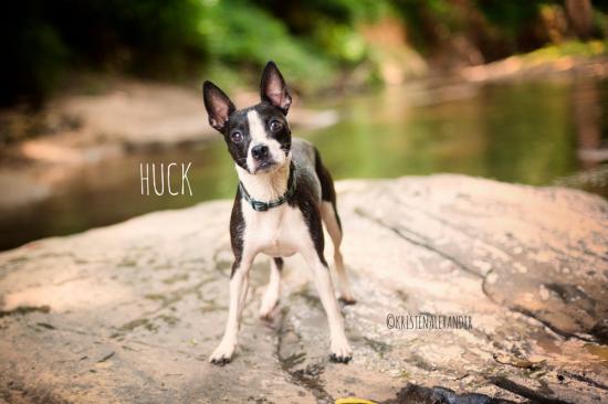 Huck