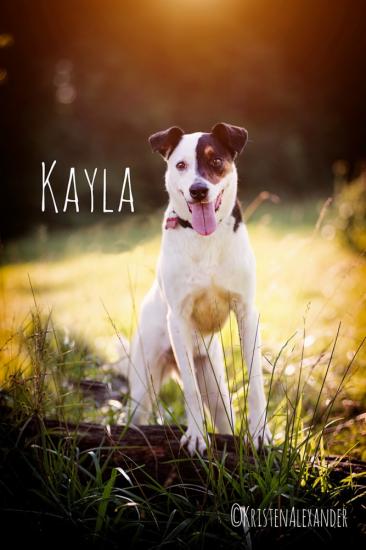 Kayla *ADOPTED*