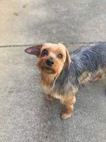 Mimi *ADOPTED*