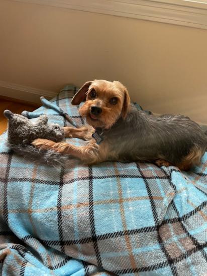 Mimi *ADOPTED*