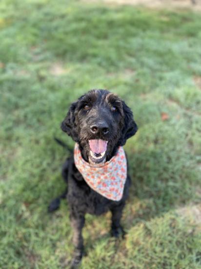 Marley