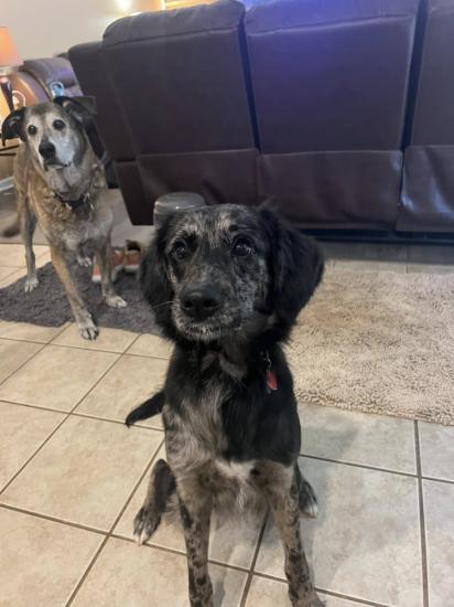 Greyson