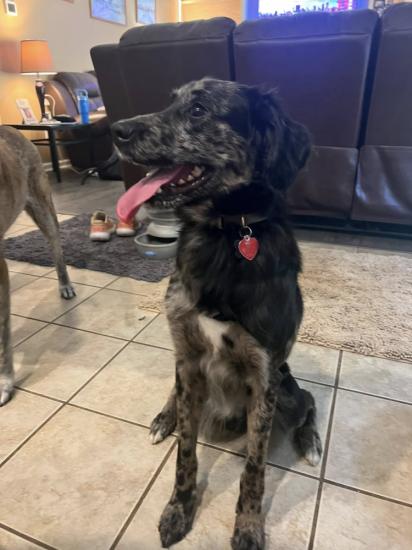Greyson