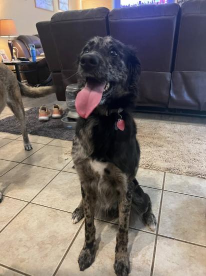 Greyson
