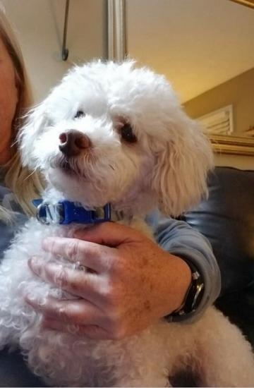 Elmore *ADOPTED*