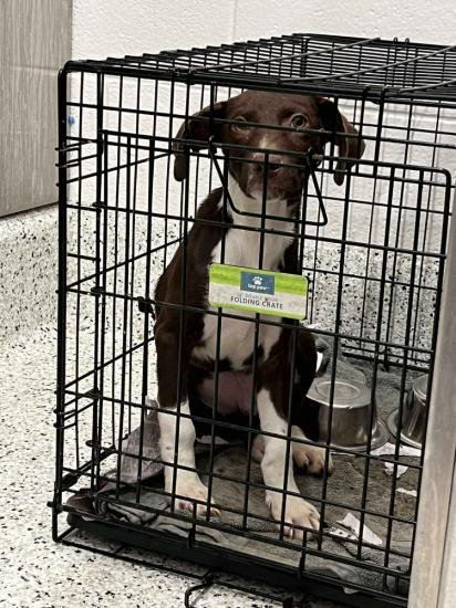 Kramer *COMING SOON*