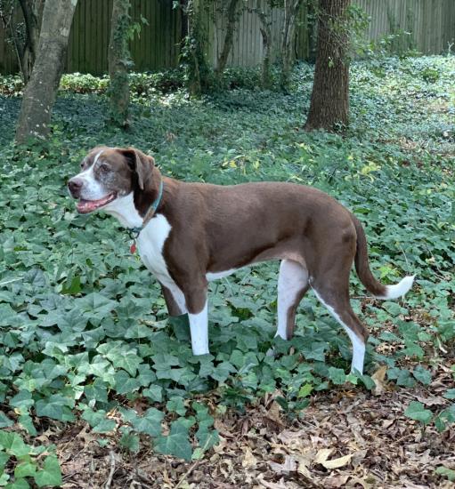 Zaxby