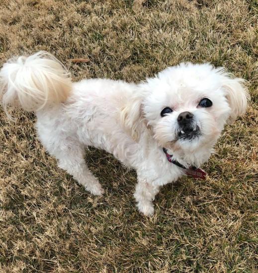 Aspen *ADOPTED*