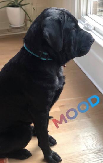 Gus 