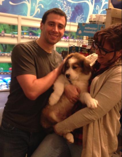 Jupiter *ADOPTED*