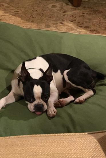 Frieda *ADOPTED*
