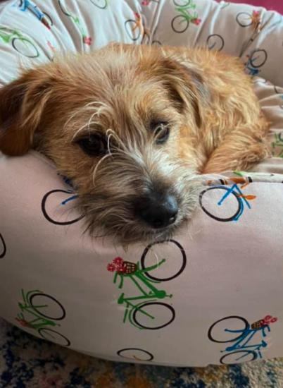 Alvin *ADOPTED*