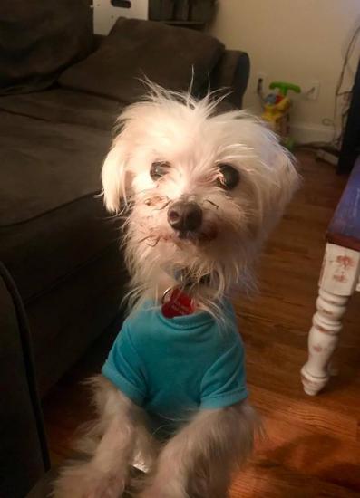 Sunny *ADOPTED*