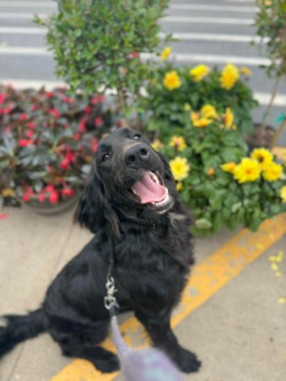 Darla