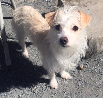 Penelope *ADOPTED*
